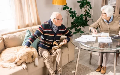 Immobilientipp des Monats Juni 2026
