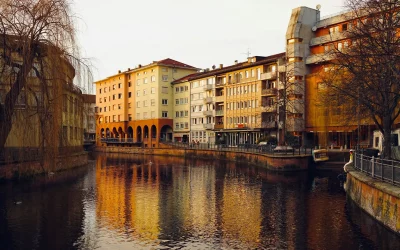 Berufung in Ausschuss der IHK und Stadt Pforzheim